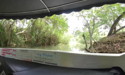 #3D VR 180 River Safari
