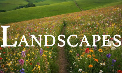 Landscapes 4K - Relaxing Scenery & Hidden Gems with Calming Music VR Video Landscapes 4K - Relaxing Scenery & Hidden Gems with Calming Music VR