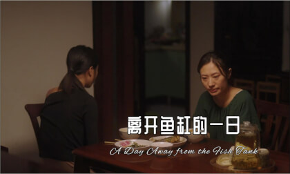 《离开鱼缸的一日》A Day Away from the Fish Tank VR Video 《离开鱼缸的一日》A Day Away from the Fish Tank VR