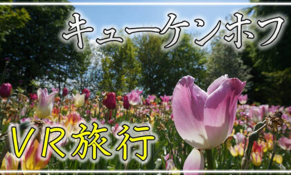 【360° VR旅行】キューケンホフ公園 VR Video 【360° VR旅行】キューケンホフ公園 VR