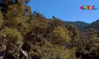 Cascada Esmeralda en Yosondua, Oaxaca. VR Video Cascada Esmeralda en Yosondua, Oaxaca. VR