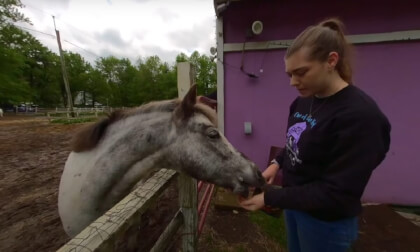 Meet the Horses at The Big Purple Barn Sanctuary 3D 180 VR Meet the Horses at The Big Purple Barn Sanctuary 3D 180 VR