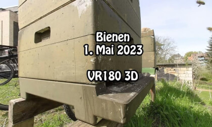 Bees (VR 180 3D 8K) VR Video Bees (VR 180 3D 8K) VR