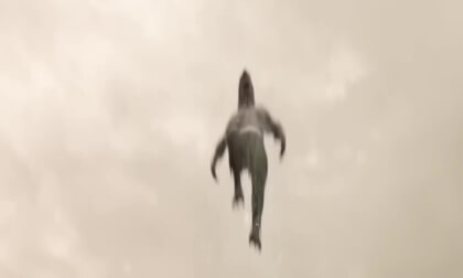 Sharkman gone crazy and after The Flash Sharkman gone crazy and after The Flash
