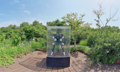 Sky Park VR Video Sky Park VR