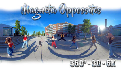 Magnetic Opposites Magnetic Opposites