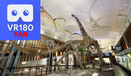 National Taiwan Museum-Taipei Land Bank Exhibition Hall, Taiwan(R.O.C) National Taiwan Museum-Taipei Land Bank Exhibition Hall, Taiwan(R.O.C)