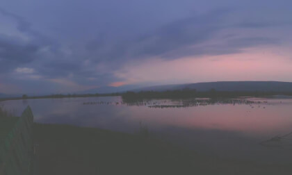 Before sunrise at Hula Lake, cranes stand in the water, their calls echoing in the morning stillness. Silhouetted against the sky, they prepare for migration. Soon, they will take flight, soaring toward Europe, carried by nature’s rhythm, the winds Before sunrise at Hula Lake, cranes stand in the water, their calls echoing in the morning stillness. Silhouetted against the sky, they prepare for migration. Soon, they will take flight, soaring toward Europe, carried by nature’s rhythm, the winds