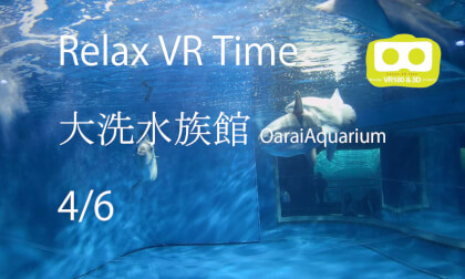 Relax VR Time OaraiAquarium4-6 VR Video Relax VR Time OaraiAquarium4-6 VR
