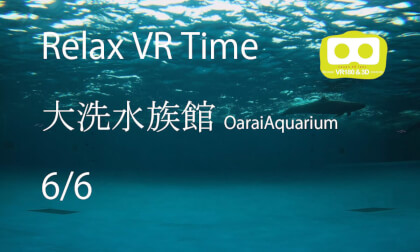 Relax VR Time OaraiAquarium6-6 VR Video Relax VR Time OaraiAquarium6-6 VR