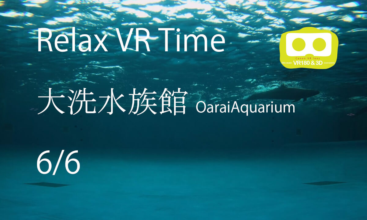 Relax VR Time OaraiAquarium6-6