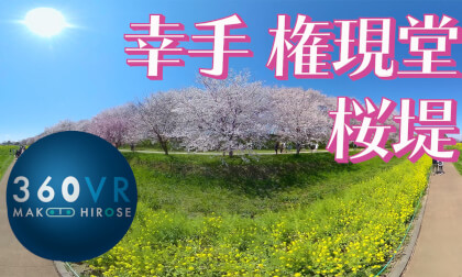 Sakura cherry blossoms, Satte Gongendo, Saitama, Japan -Travel JAPAN- VR Video Sakura cherry blossoms, Satte Gongendo, Saitama, Japan -Travel JAPAN- VR