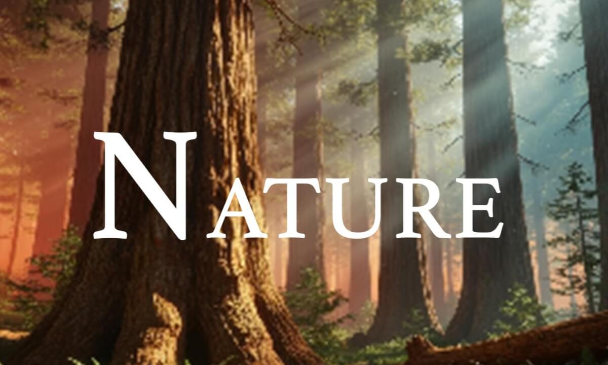 Nature 4K - Relaxing Scenery with Calming Music