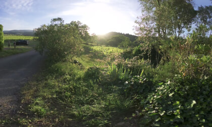 Sunrise Chateau Villatade - South of France VR Video Sunrise Chateau Villatade - South of France VR