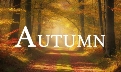 Autumn 4K – Relaxing Scenery & Hidden Gems with Calming Music VR Video Autumn 4K – Relaxing Scenery & Hidden Gems with Calming Music VR