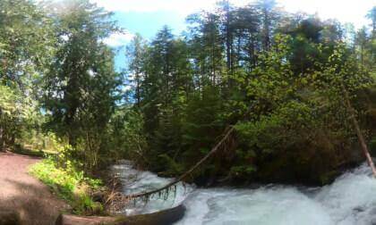 Roaring Creek and Waterfall in the distance (5.7K. 360) VR Video Roaring Creek and Waterfall in the distance (5.7K. 360) VR