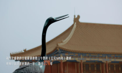 《保护身边文物 永续中华文明》8k版Protecting Cultural Relics Around Us for Sustainable Chinese Civilization 8k Edition VR Video 《保护身边文物 永续中华文明》8k版Protecting Cultural Relics Around Us for Sustainable Chinese Civilization 8k Edition VR