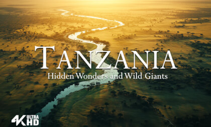 Tanzania in 4K VR – Untamed Wilderness and Majestic Landscapes  Safaris, Savannahs & Mount Kilimanjaro Tanzania in 4K VR – Untamed Wilderness and Majestic Landscapes  Safaris, Savannahs & Mount Kilimanjaro