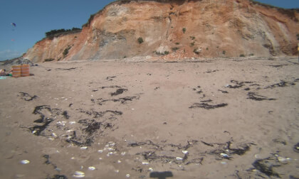 VR180 3D -6K - PENESTIN Les sons de la mine d'or en juin VR Video VR180 3D -6K - PENESTIN Les sons de la mine d'or en juin VR