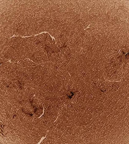 El Sol 5-6-2025