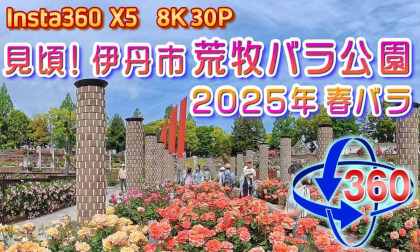 [ Insta360 X5 ]Now is the best time to see them! Aramaki Rose Park, Itami City