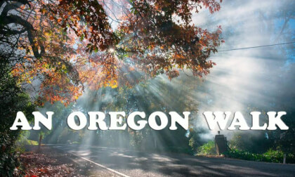 Taking A Walk In Oregon VR Video Taking A Walk In Oregon VR