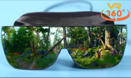 Wonderful Forest 8K 360 VR Video Wonderful Forest 8K 360 VR