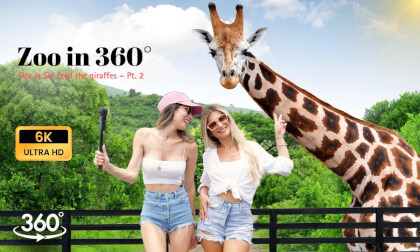 Up Close with Giraffes – Miami Zoo 360° Pt. 2: Flor & Sol Up Close with Giraffes – Miami Zoo 360° Pt. 2: Flor & Sol