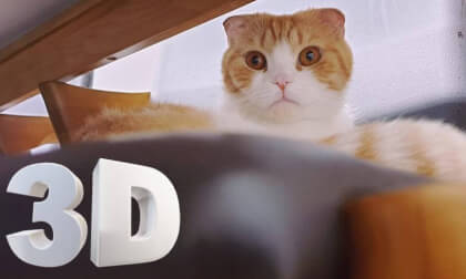 180 3D VR Cat] verelife ep.1