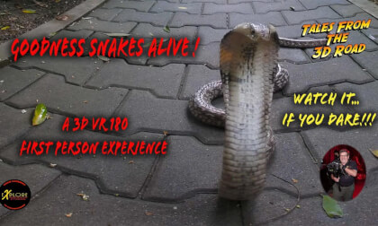 Goodness Snakes Alive Goodness Snakes Alive