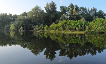 Morning Harmony by the River VR Video Morning Harmony by the River VR