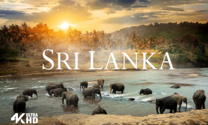 Sri Lanka in 4K VR – Tropical Wonder and Ancient Heritage | Lush Jungles, Temples & Crystal Shores VR Video Sri Lanka in 4K VR – Tropical Wonder and Ancient Heritage | Lush Jungles, Temples & Crystal Shores VR