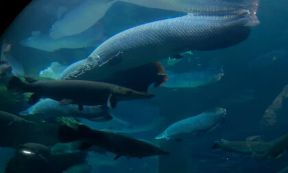 Zhuhai Chimelong Ocean Kingdom 04 VR Video Zhuhai Chimelong Ocean Kingdom 04 VR