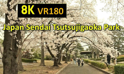 Japan Sendai Tsutsujigaoka Park VR Video Japan Sendai Tsutsujigaoka Park VR