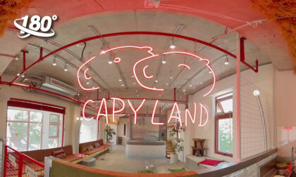Shanghai's First Capybara House VR Video Shanghai's First Capybara House VR