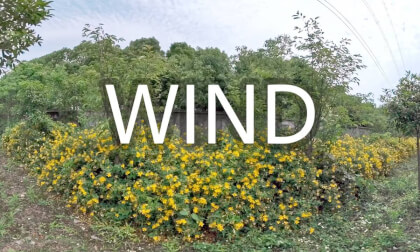 feel the wind VR Video feel the wind VR
