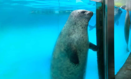 Zhuhai Chimelong Ocean Kingdom 06 VR Video Zhuhai Chimelong Ocean Kingdom 06 VR