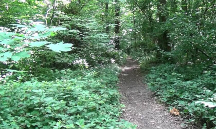 HD 3D - ALLONNES Promenade matinale - 13 juin 2025