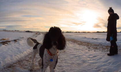 Sunday Walk with Sulta VR Video Sunday Walk with Sulta VR