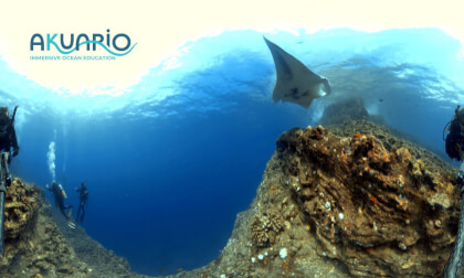 Manta Ray in 8K-360-3D Manta Ray in 8K-360-3D