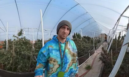 Cannabis Grow! VR Video Cannabis Grow! VR