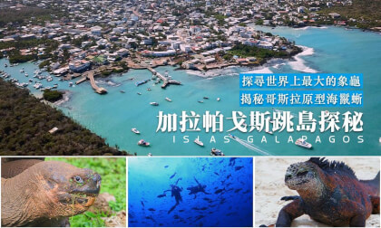 Adventures in the Galapagos丨加拉帕戈斯跳島探秘 Adventures in the Galapagos丨加拉帕戈斯跳島探秘