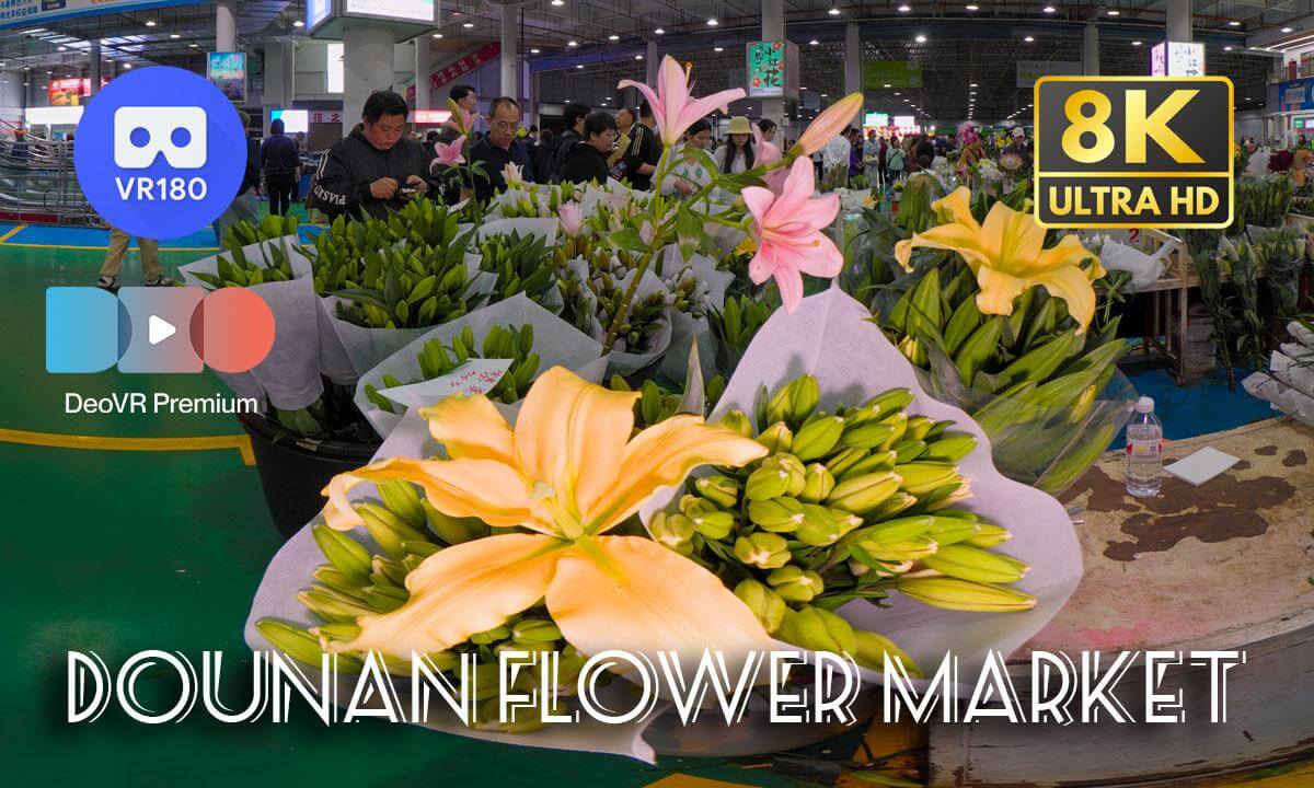 Travel China: Dounan Flower Market 斗南鲜花市场 | Asia’s Largest Flower Market | 8K 3D 180