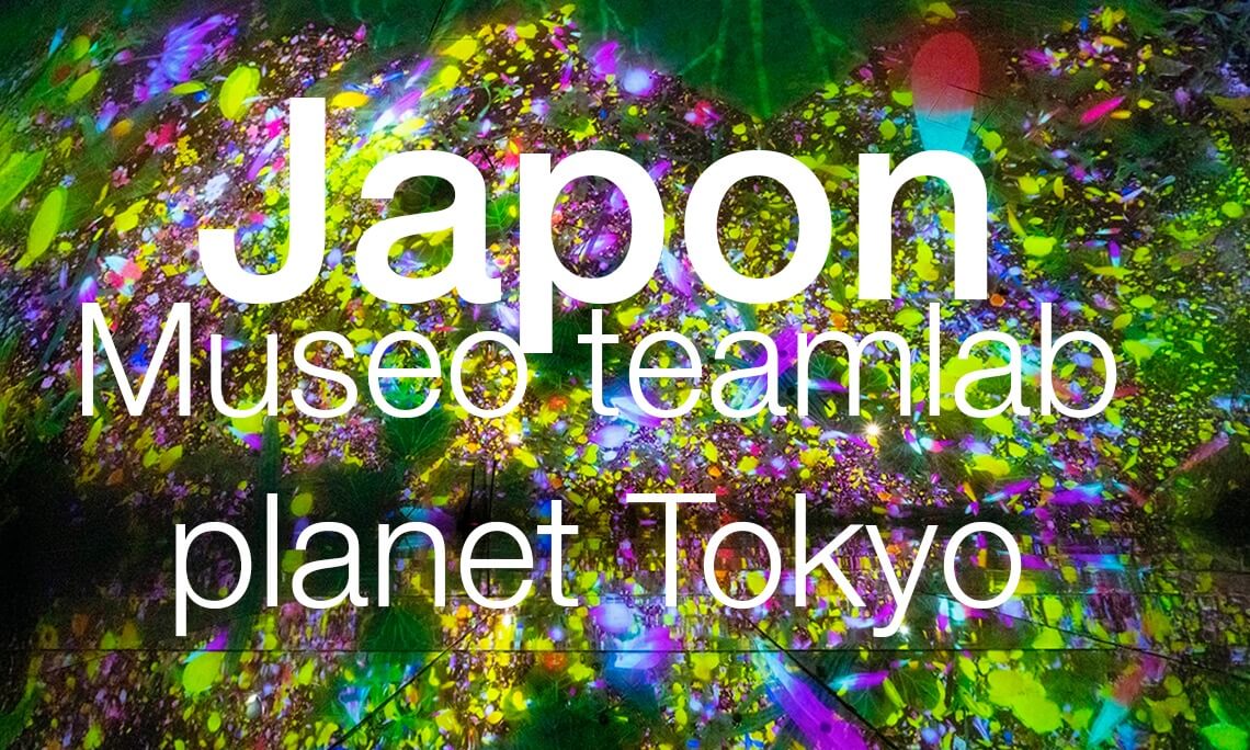 Turismo- Japon- Museo teamlab planet Tokyo