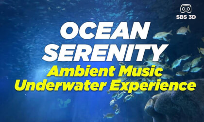 Ocean Serenity: SBS 3D Video | Ambient Music Underwater Experience VR Video Ocean Serenity: SBS 3D Video | Ambient Music Underwater Experience VR