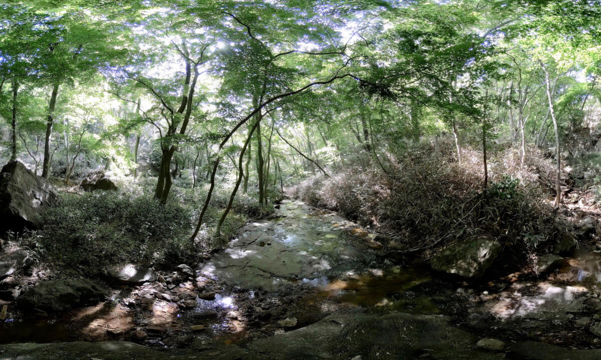 Mt. Seonun, : A Humble Valley