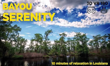 Bayou Serenity: Relax in Louisiana's Natural Beauty - 3D VR 180 Experience VR Video Bayou Serenity: Relax in Louisiana's Natural Beauty - 3D VR 180 Experience VR