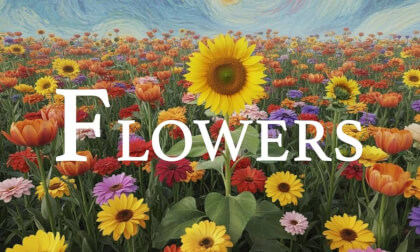Flowers 4K – Relaxing Scenery & Hidden Gems with Calming Music VR Video Flowers 4K – Relaxing Scenery & Hidden Gems with Calming Music VR