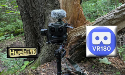 In the forest it is dark up to ISO2500 VR Video In the forest it is dark up to ISO2500 VR