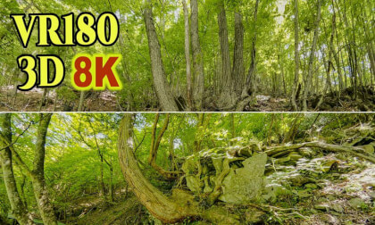 Forest bathing in Yokoya Gorge, a beautiful valley located in Tateshina Highlands Resort , Nagano , JAPAN VR Video Forest bathing in Yokoya Gorge, a beautiful valley located in Tateshina Highlands Resort , Nagano , JAPAN VR